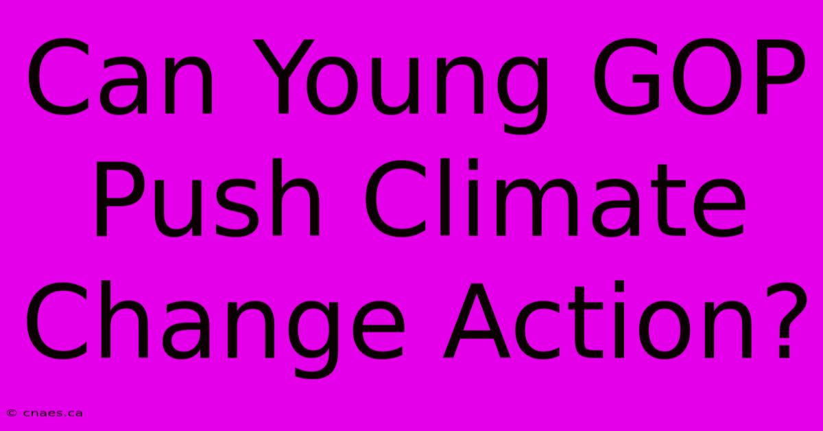 Can Young GOP Push Climate Change Action?