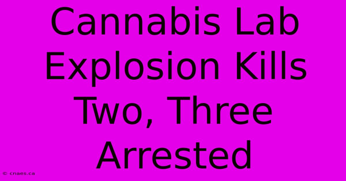 Cannabis Lab Explosion Kills Two, Three Arrested