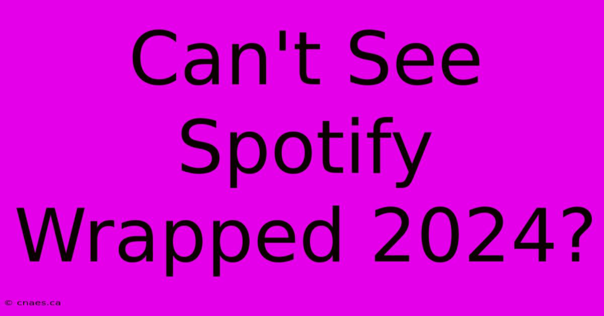 Can't See Spotify Wrapped 2024?