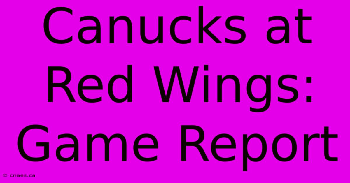 Canucks At Red Wings: Game Report