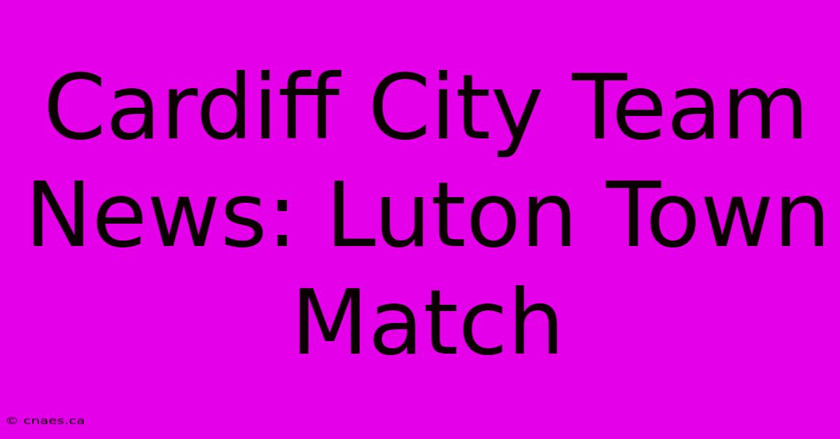 Cardiff City Team News: Luton Town Match