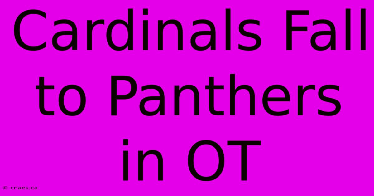 Cardinals Fall To Panthers In OT