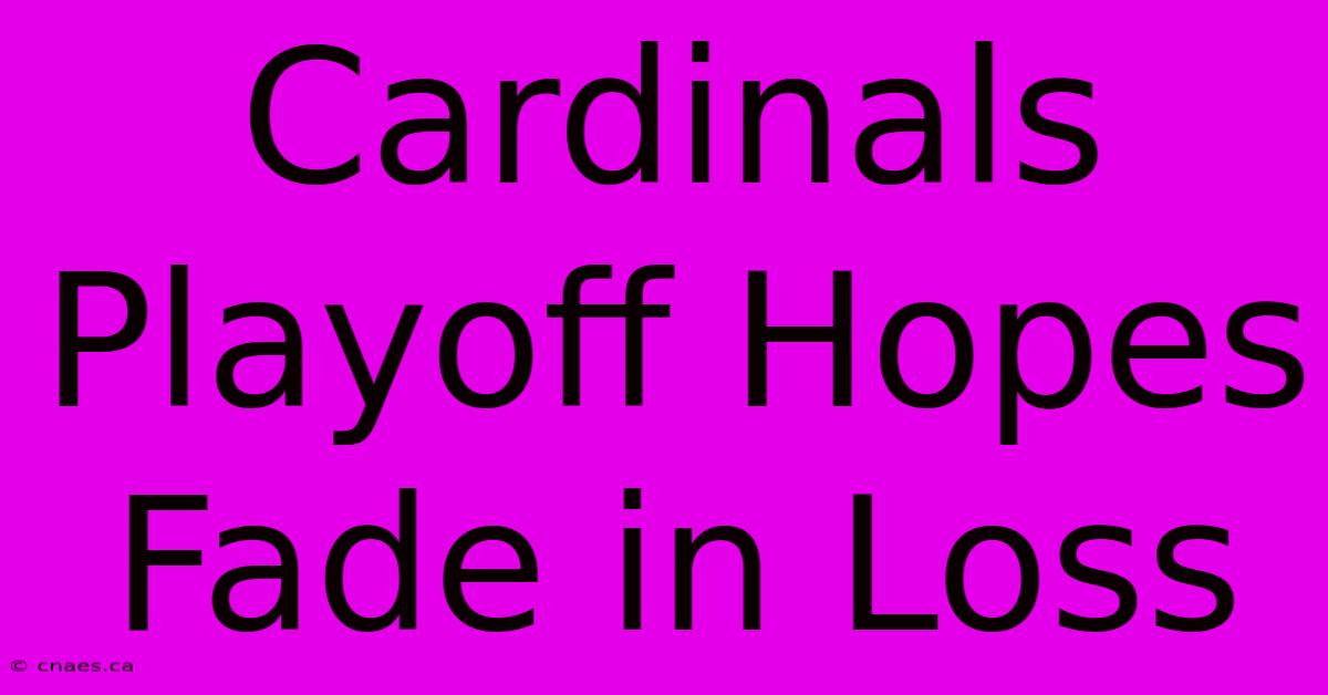 Cardinals Playoff Hopes Fade In Loss