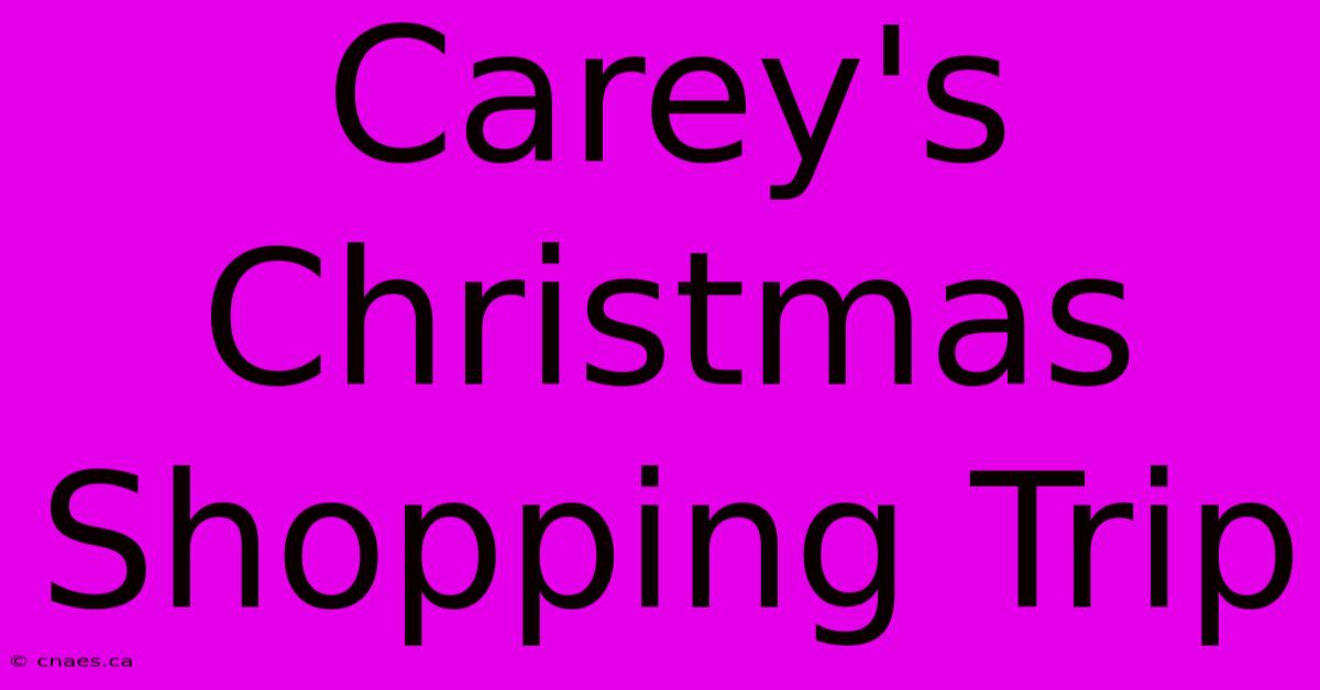 Carey's Christmas Shopping Trip