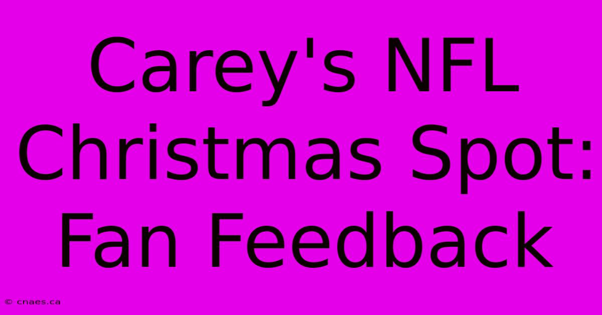 Carey's NFL Christmas Spot: Fan Feedback