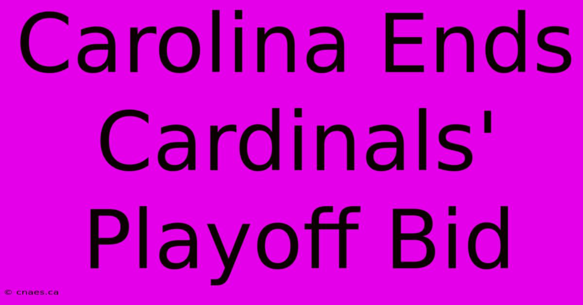 Carolina Ends Cardinals' Playoff Bid