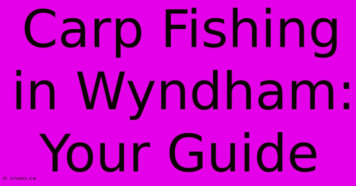 Carp Fishing In Wyndham: Your Guide