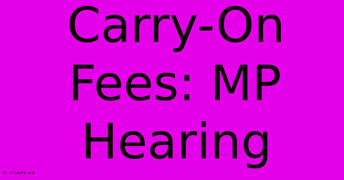 Carry-On Fees: MP Hearing