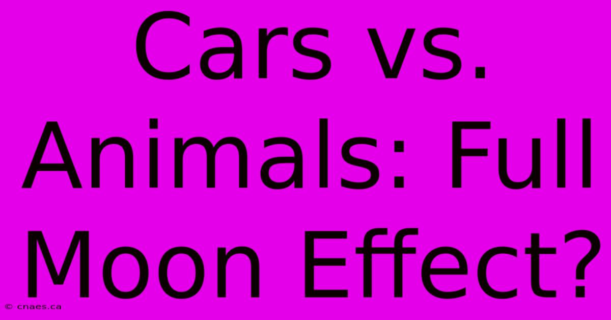 Cars Vs. Animals: Full Moon Effect?