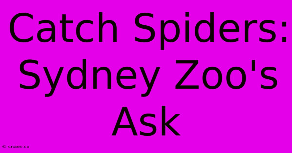 Catch Spiders: Sydney Zoo's Ask