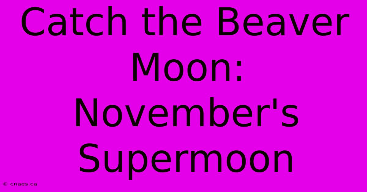 Catch The Beaver Moon: November's Supermoon