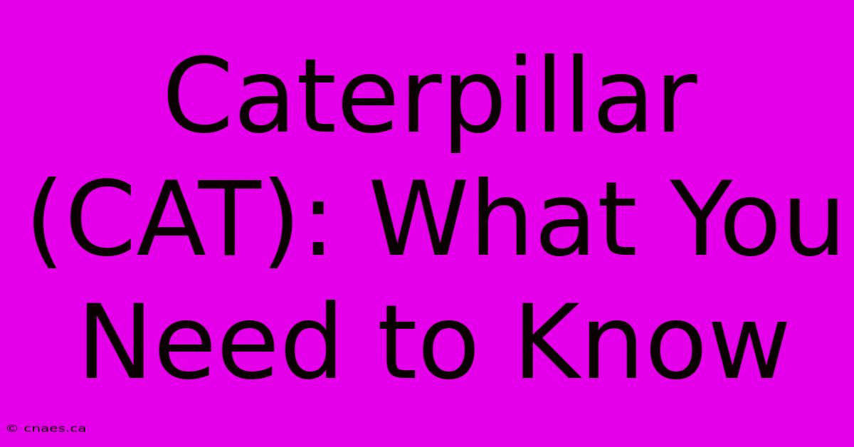 Caterpillar (CAT): What You Need To Know