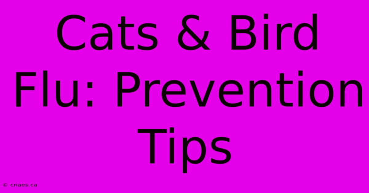 Cats & Bird Flu: Prevention Tips