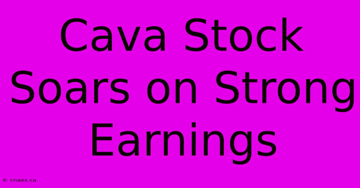 Cava Stock Soars On Strong Earnings