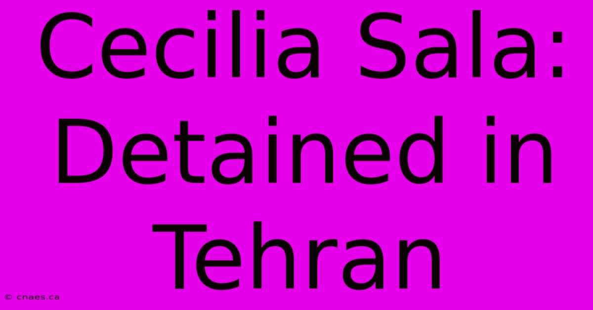 Cecilia Sala: Detained In Tehran