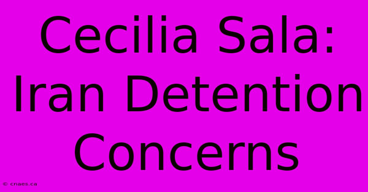 Cecilia Sala: Iran Detention Concerns