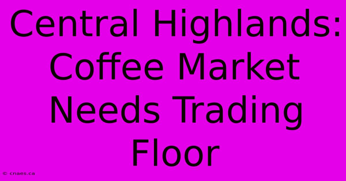 Central Highlands: Coffee Market Needs Trading Floor