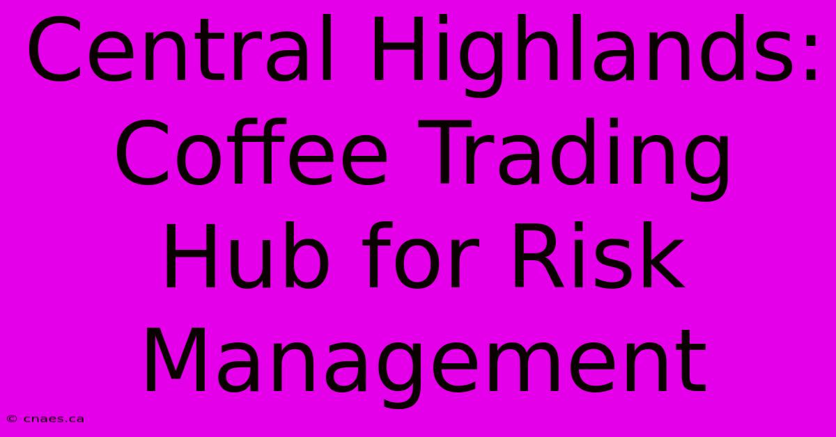 Central Highlands: Coffee Trading Hub For Risk Management