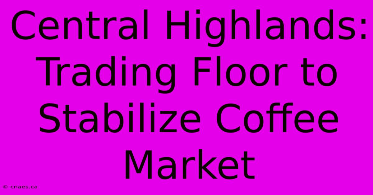 Central Highlands: Trading Floor To Stabilize Coffee Market 