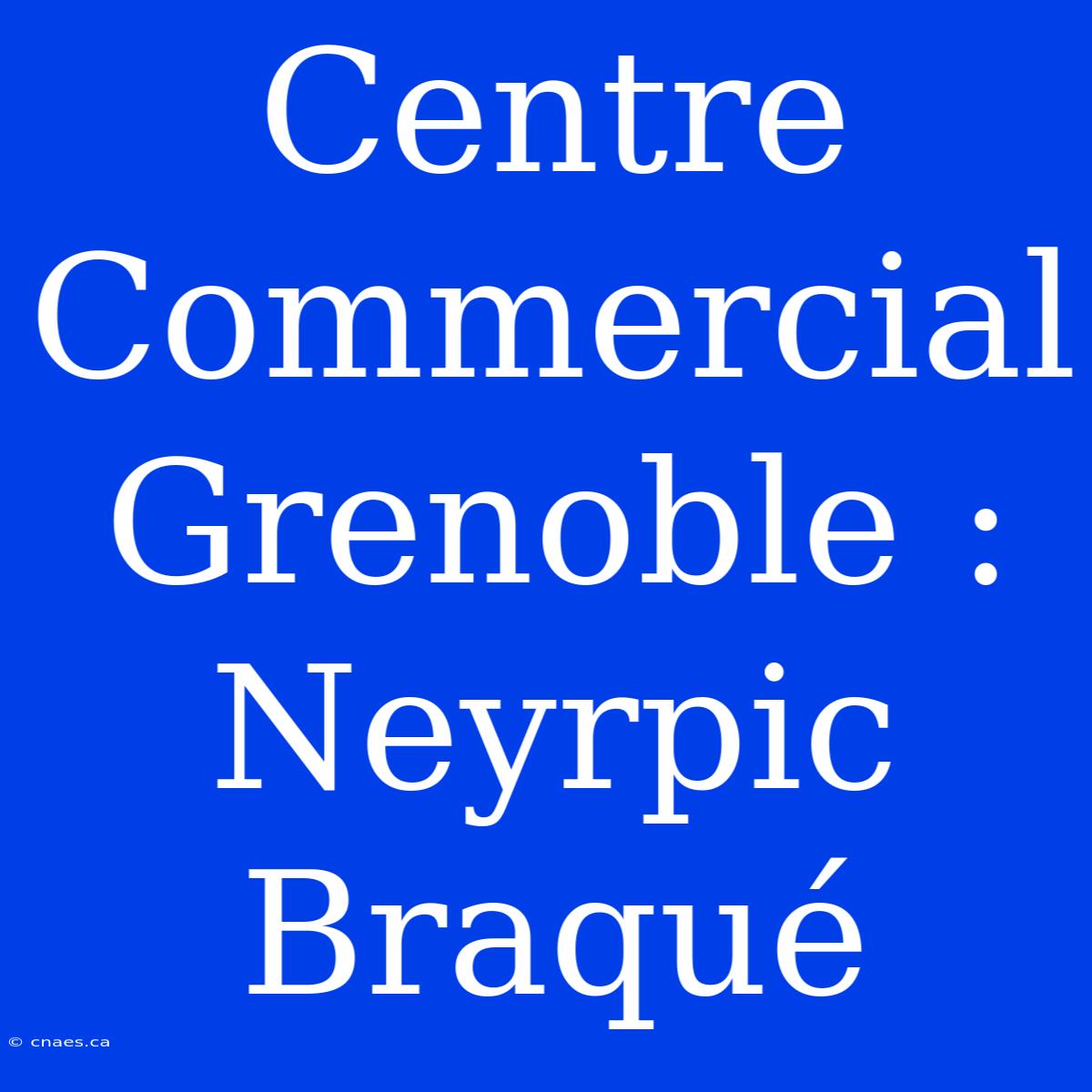 Centre Commercial Grenoble : Neyrpic Braqué