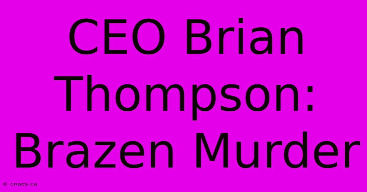 CEO Brian Thompson: Brazen Murder