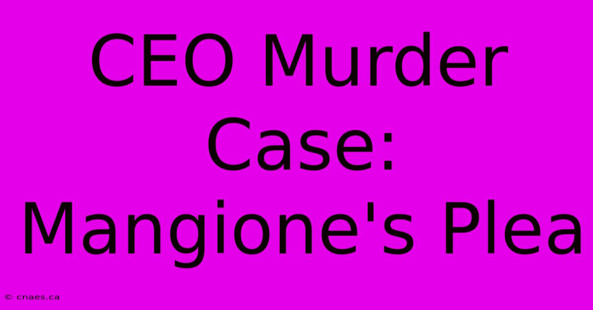 CEO Murder Case: Mangione's Plea