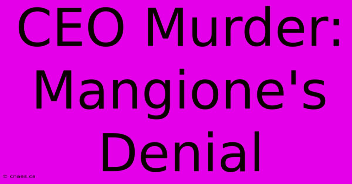 CEO Murder: Mangione's Denial