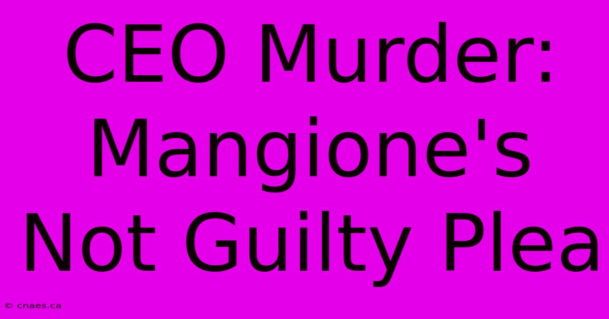 CEO Murder: Mangione's Not Guilty Plea