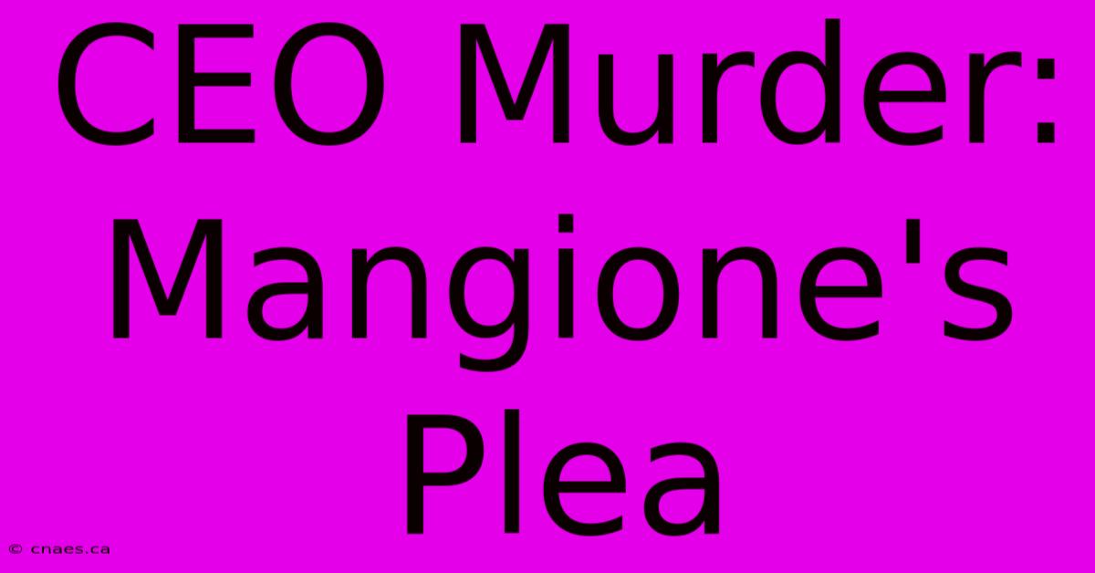 CEO Murder: Mangione's Plea