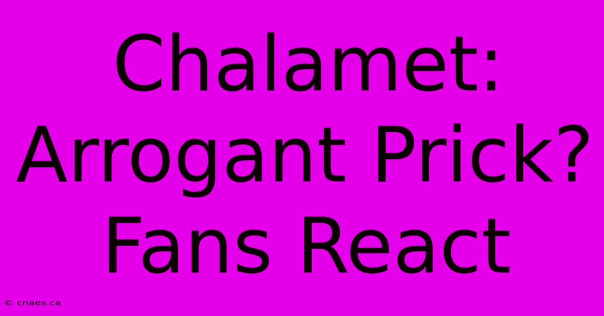 Chalamet: Arrogant Prick? Fans React