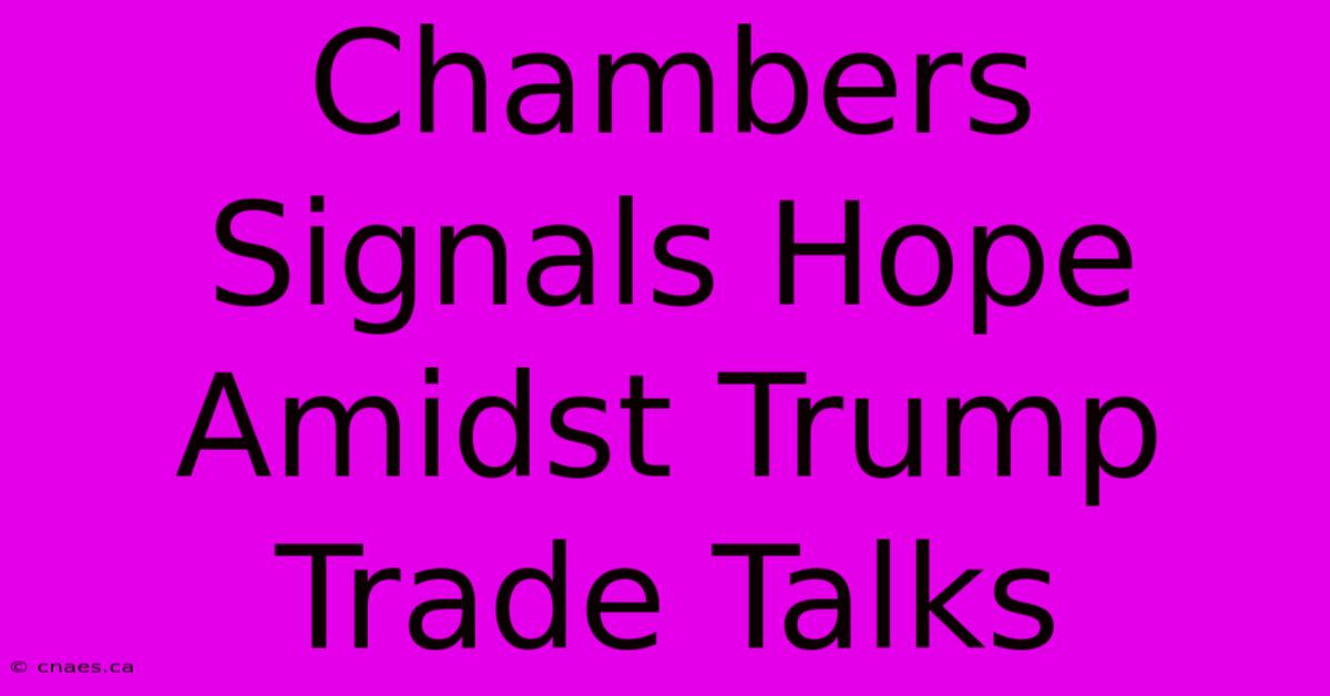 Chambers Signals Hope Amidst Trump Trade Talks