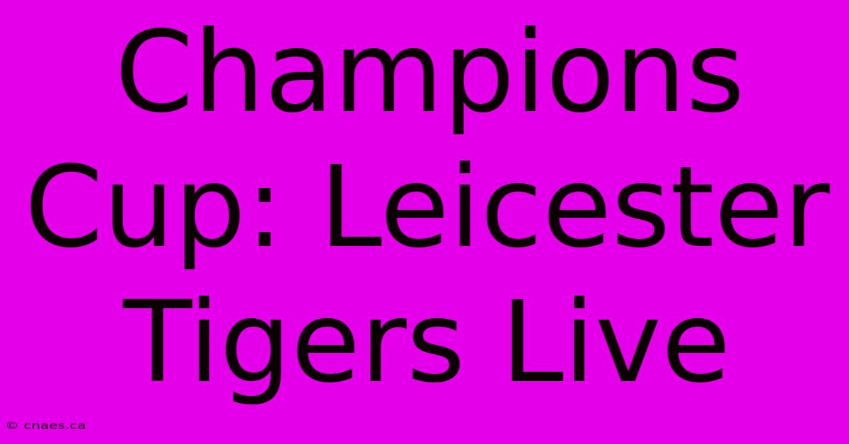 Champions Cup: Leicester Tigers Live