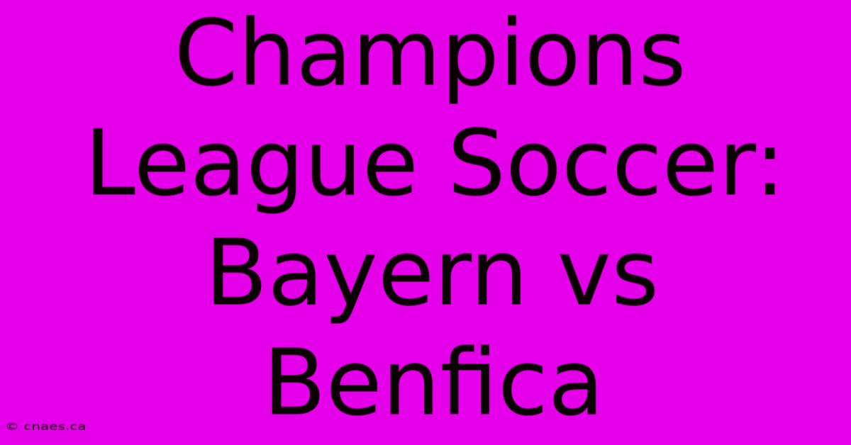 Champions League Soccer: Bayern Vs Benfica