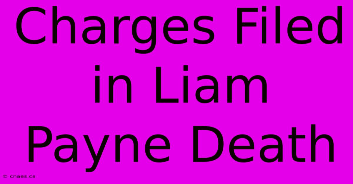 Charges Filed In Liam Payne Death