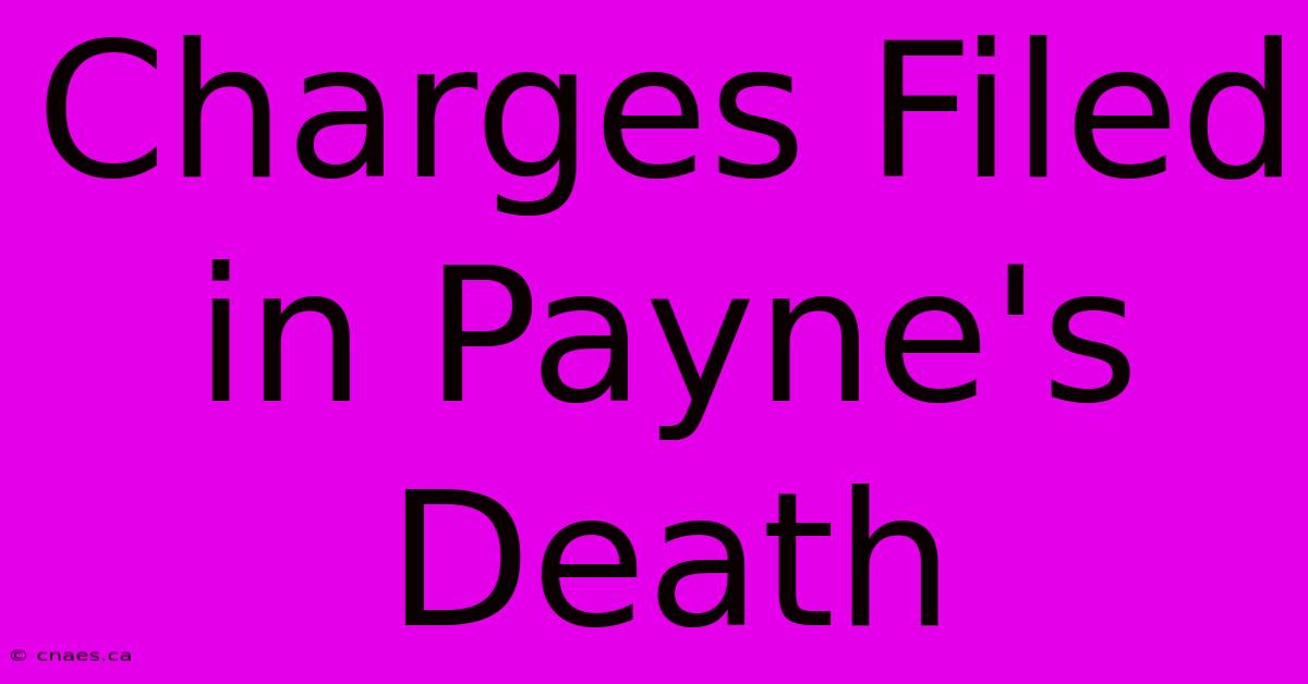 Charges Filed In Payne's Death