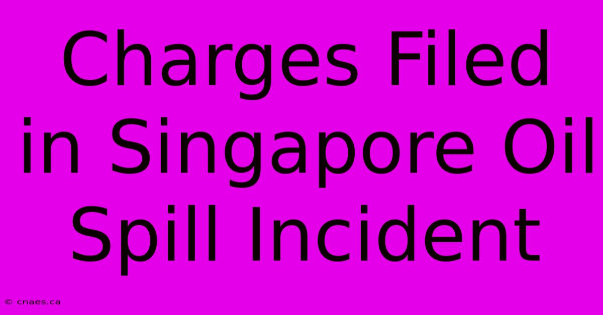 Charges Filed In Singapore Oil Spill Incident