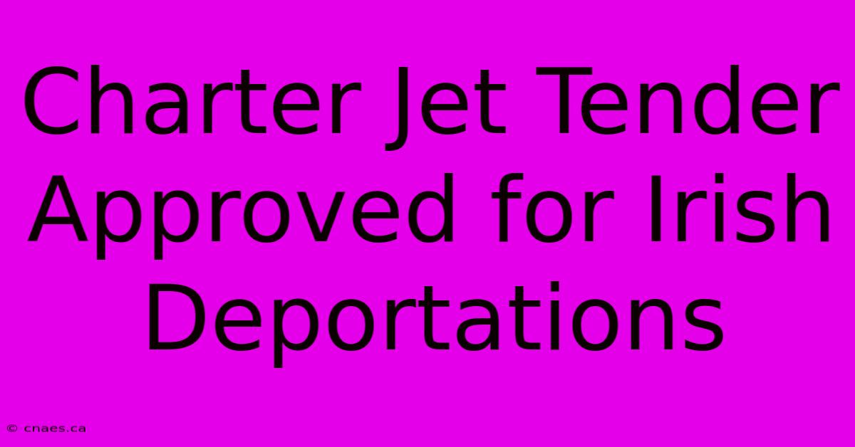 Charter Jet Tender Approved For Irish Deportations 