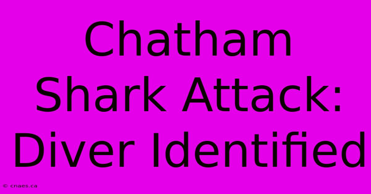 Chatham Shark Attack: Diver Identified