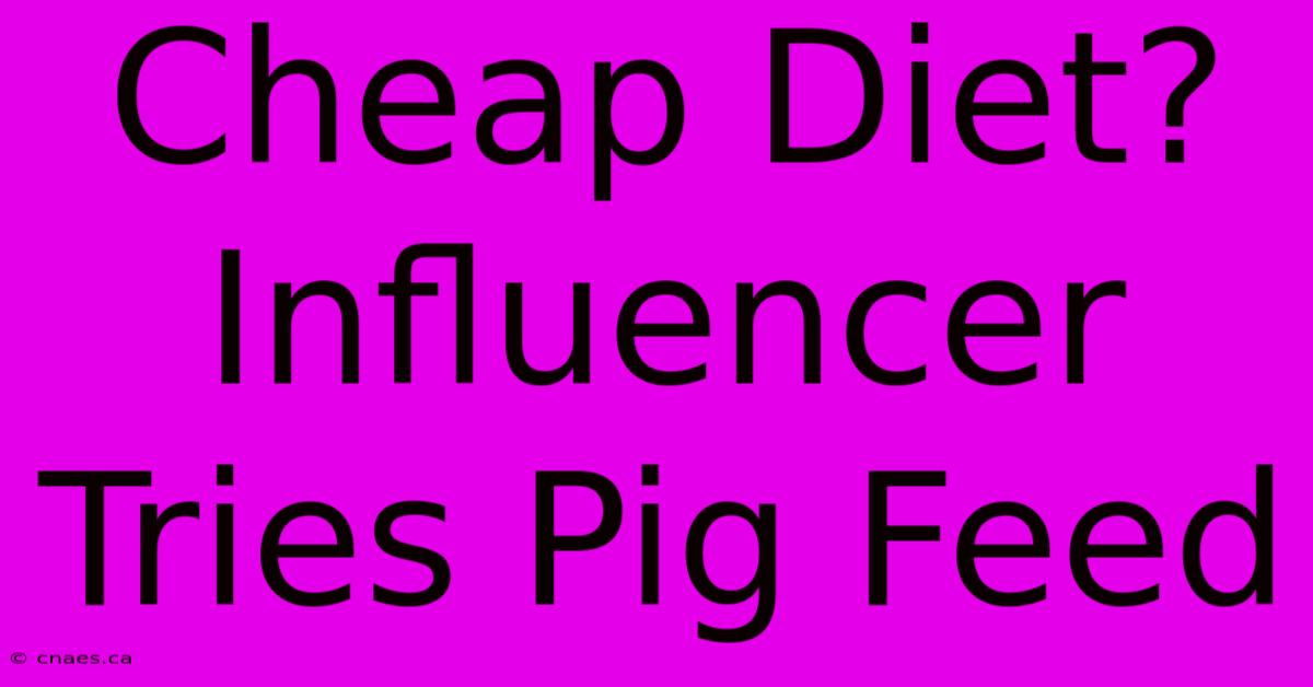 Cheap Diet? Influencer Tries Pig Feed