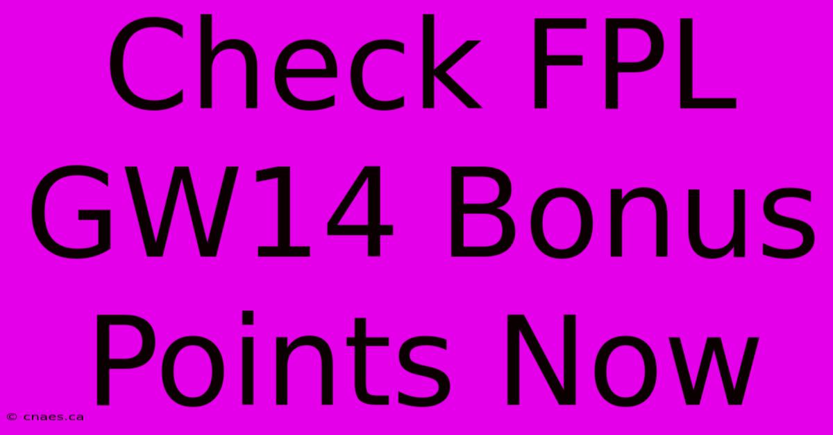 Check FPL GW14 Bonus Points Now