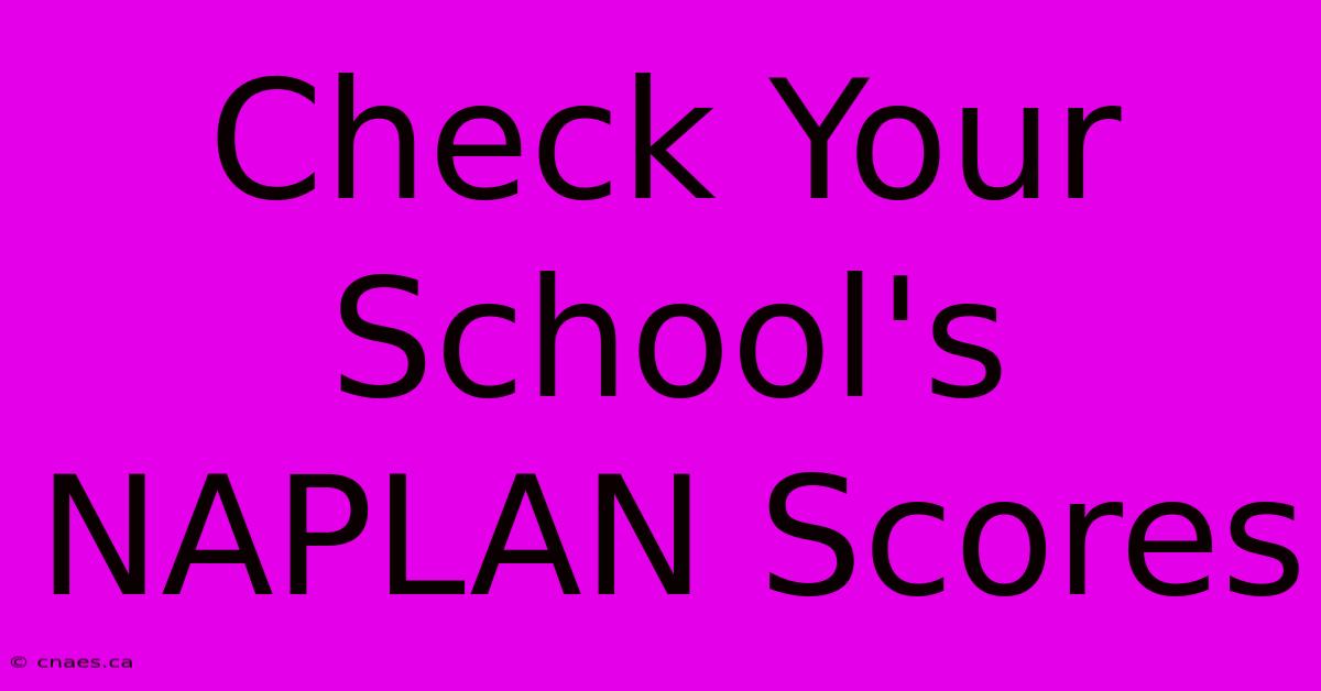 Check Your School's NAPLAN Scores