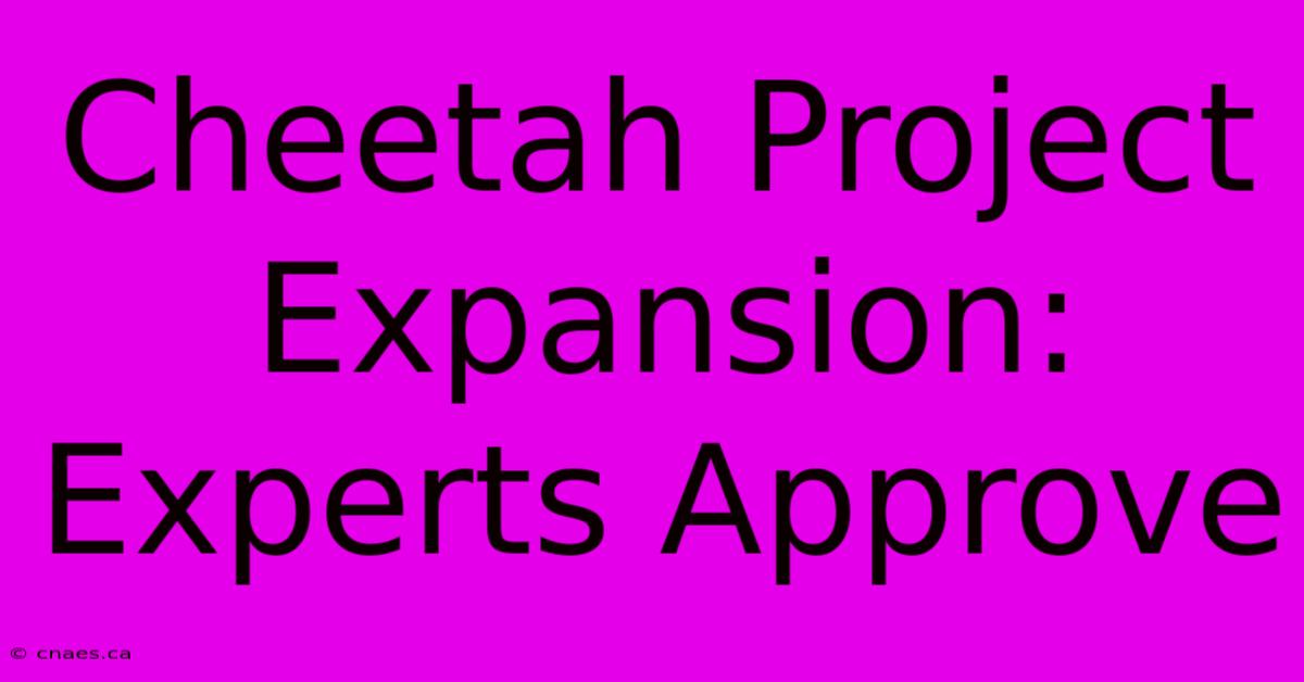 Cheetah Project Expansion: Experts Approve