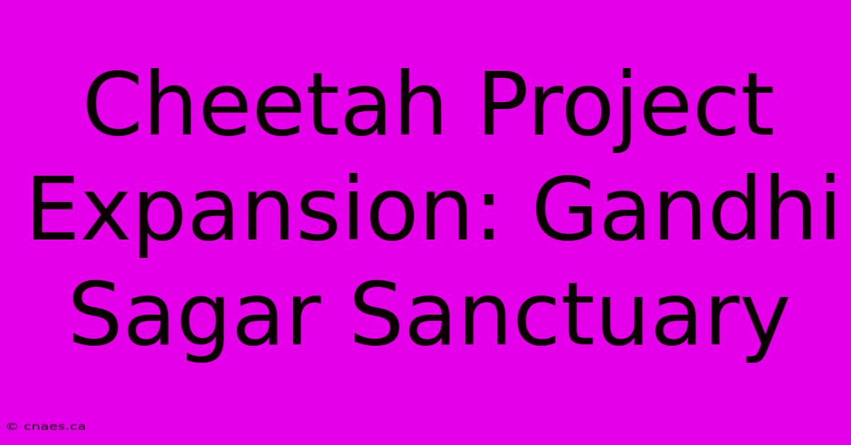 Cheetah Project Expansion: Gandhi Sagar Sanctuary