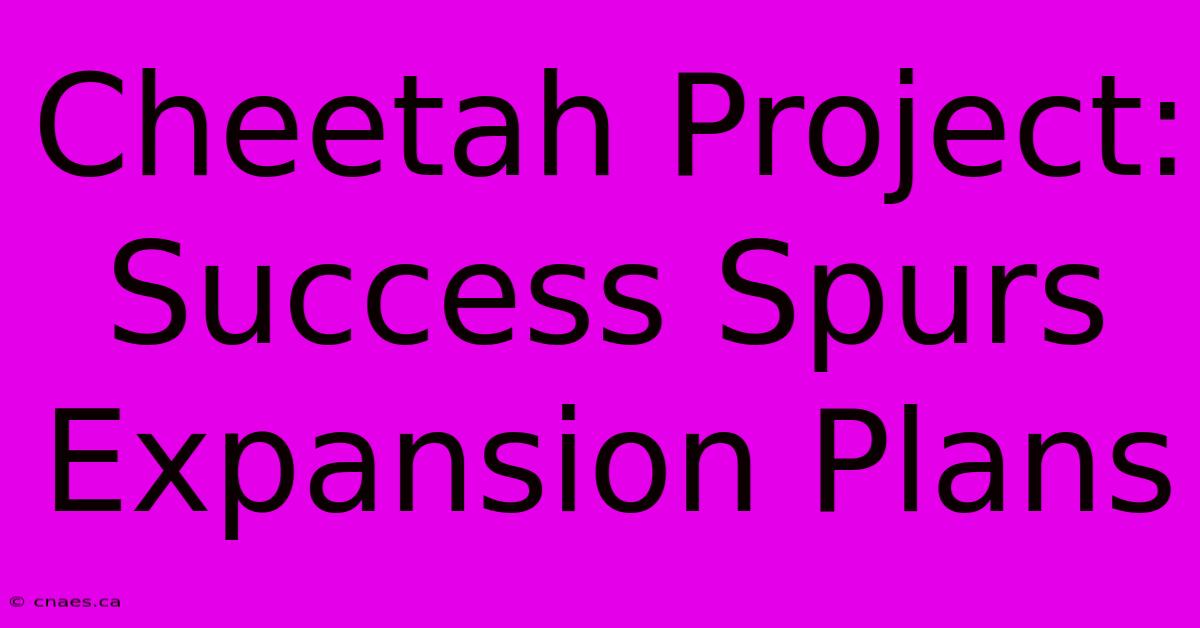 Cheetah Project: Success Spurs Expansion Plans