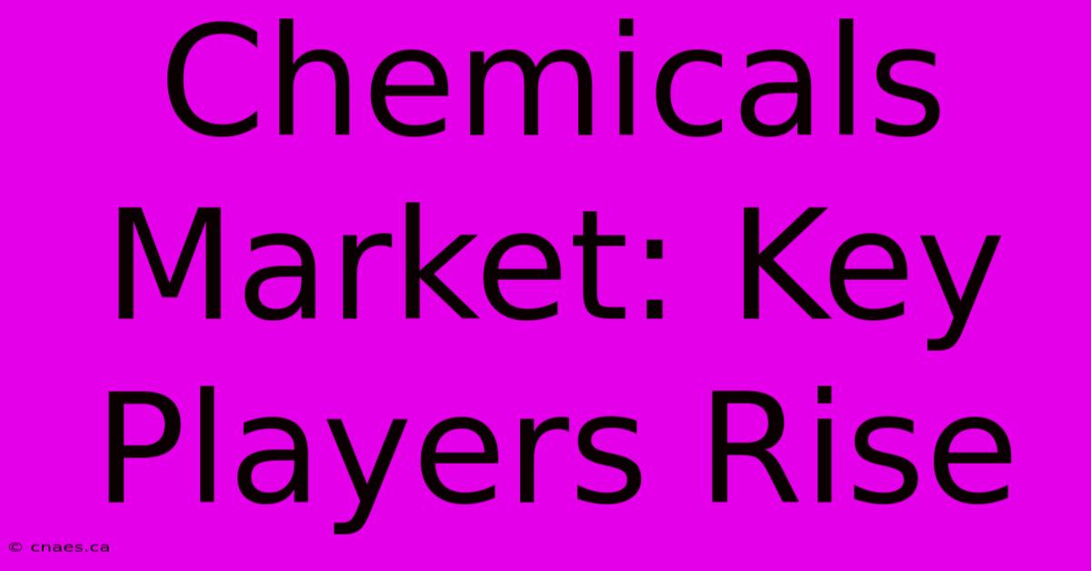 Chemicals Market: Key Players Rise