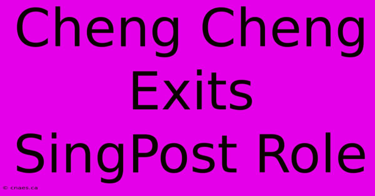 Cheng Cheng Exits SingPost Role