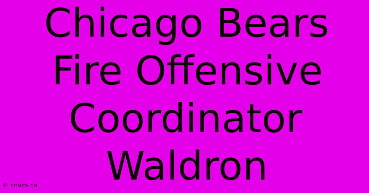 Chicago Bears Fire Offensive Coordinator Waldron 