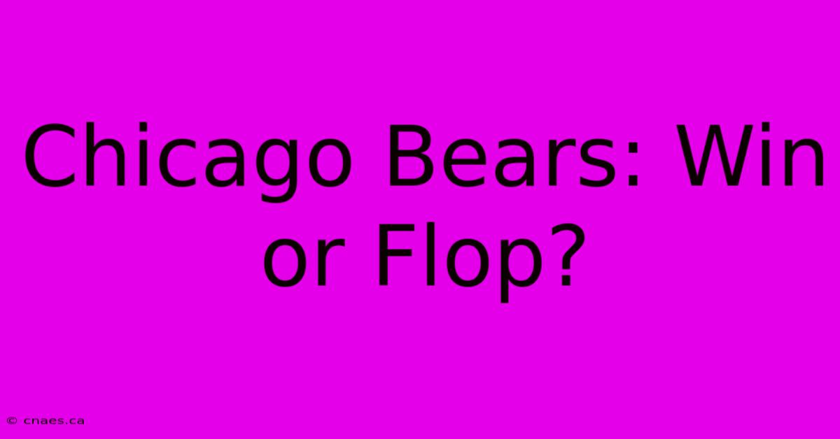 Chicago Bears: Win Or Flop?