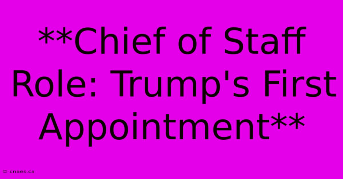 **Chief Of Staff Role: Trump's First Appointment** 