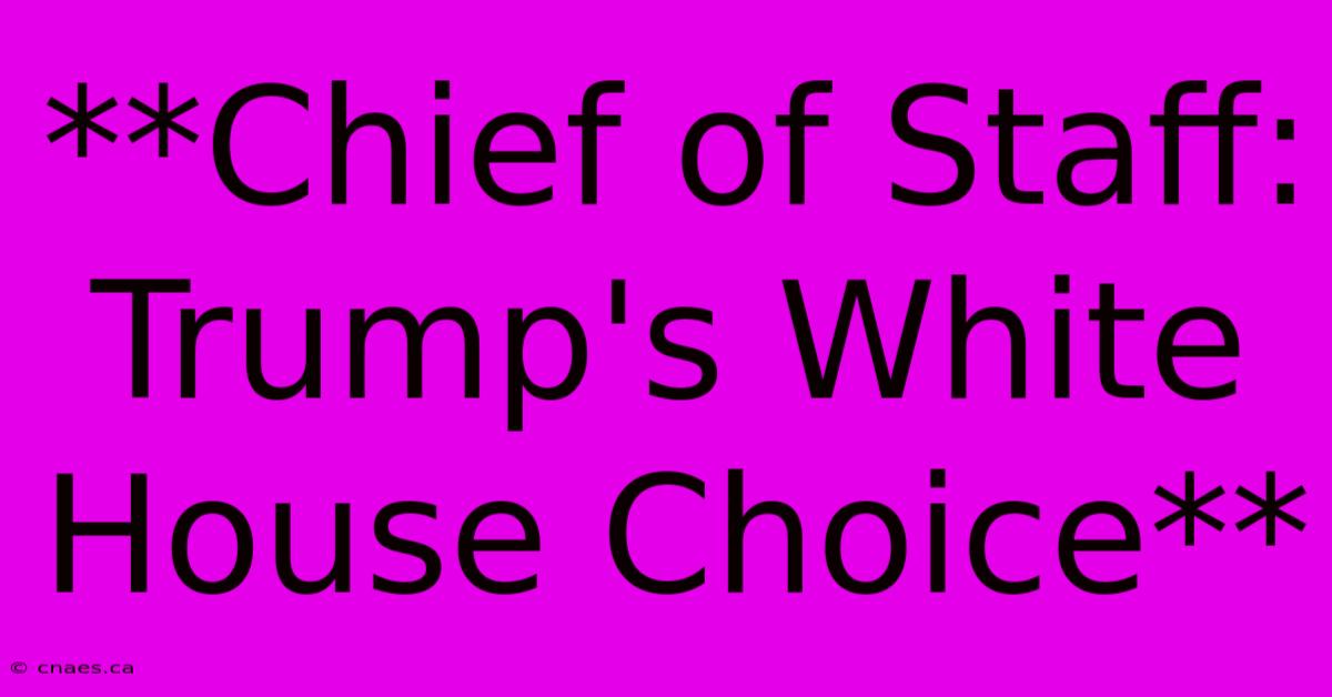 **Chief Of Staff: Trump's White House Choice**